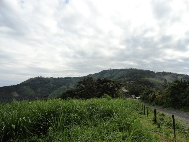 Producción